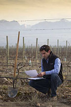 Fernando Buscema, Director Ejecutivo, Catena Institute of Wine.