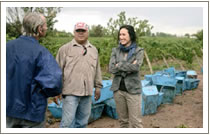 Laura Catena with the harvesting team