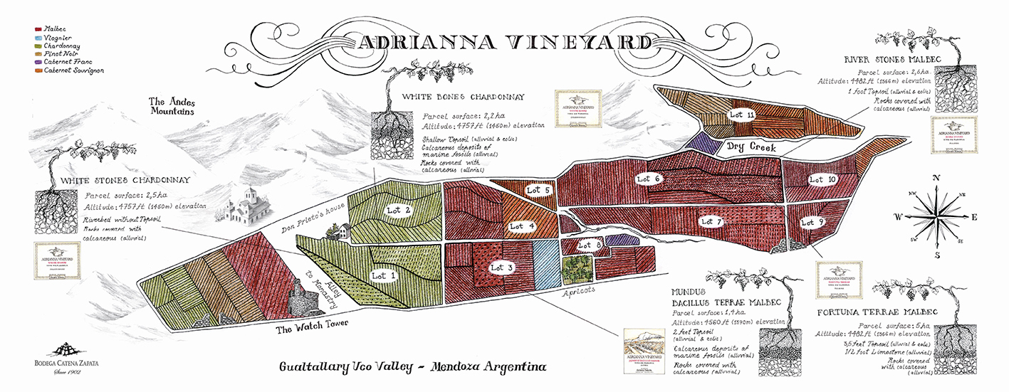 Mapa Adrianna Vineyard