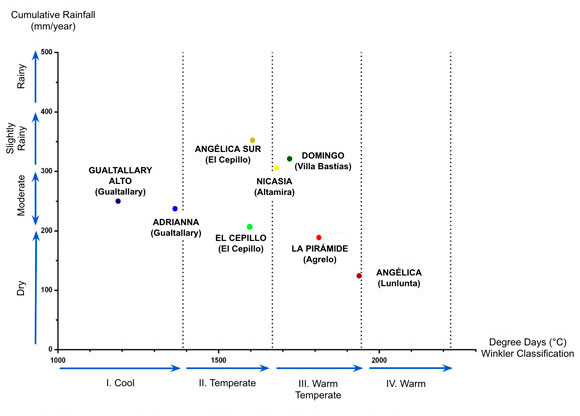 grafico