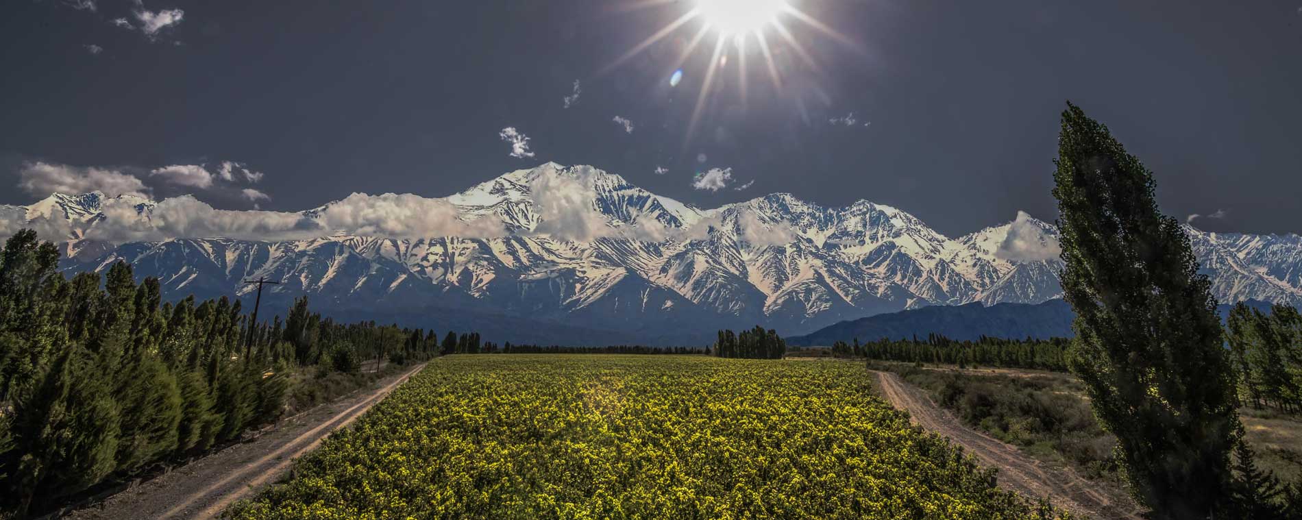 high altitude mendoza