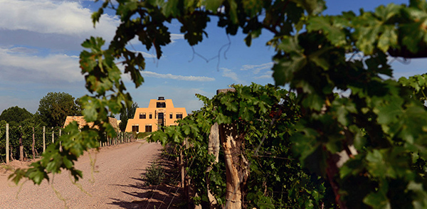 Catena Zapata in Mendoza is voted number one in the World’s Best Vineyards 2023