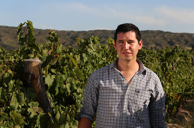 Roy Urvieta - Director de enología del Catena Institute of Wine